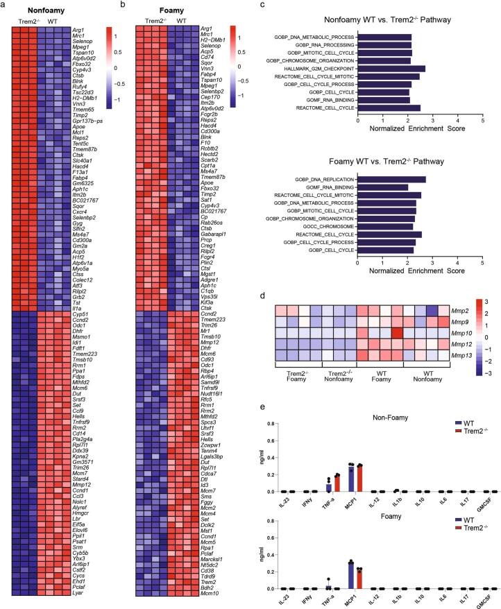 https://cdn.ncbi.nlm.nih.gov/pmc/blobs/c326/11041796/3ecaa7e143b1/44161_2023_354_Fig16_ESM.jpg