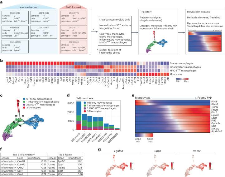 https://cdn.ncbi.nlm.nih.gov/pmc/blobs/c326/11041796/48ddbfdbb541/44161_2023_354_Fig1_HTML.jpg
