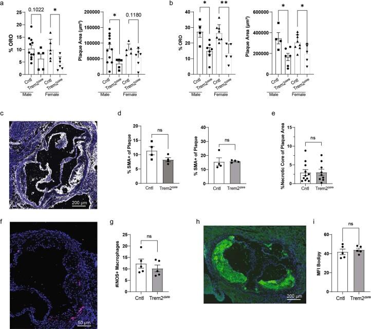 https://cdn.ncbi.nlm.nih.gov/pmc/blobs/c326/11041796/6c124fd7edbb/44161_2023_354_Fig15_ESM.jpg