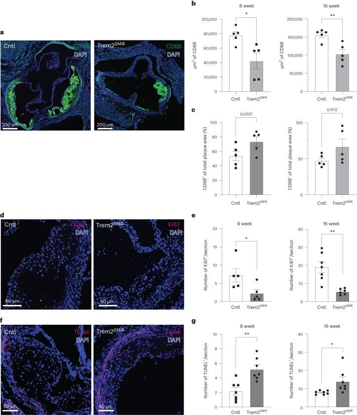 https://cdn.ncbi.nlm.nih.gov/pmc/blobs/c326/11041796/71684fafa85d/44161_2023_354_Fig6_HTML.jpg