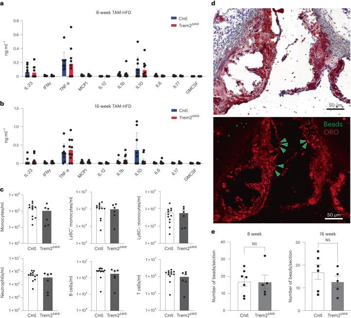 https://cdn.ncbi.nlm.nih.gov/pmc/blobs/c326/11041796/72784663dbe0/44161_2023_354_Fig5_HTML.jpg