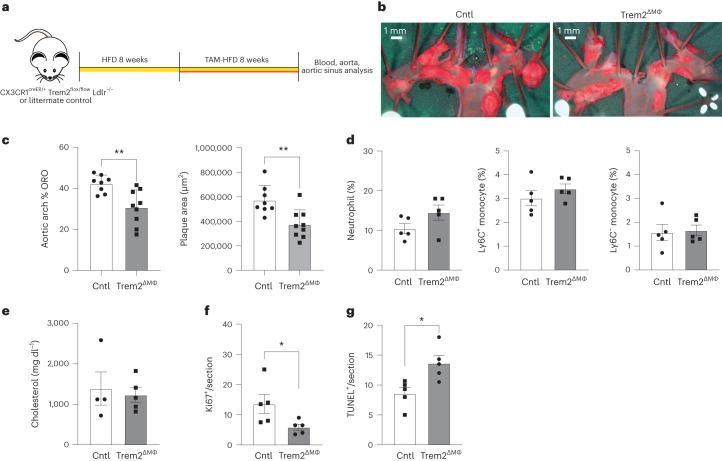 https://cdn.ncbi.nlm.nih.gov/pmc/blobs/c326/11041796/c42fe88fd72d/44161_2023_354_Fig7_HTML.jpg