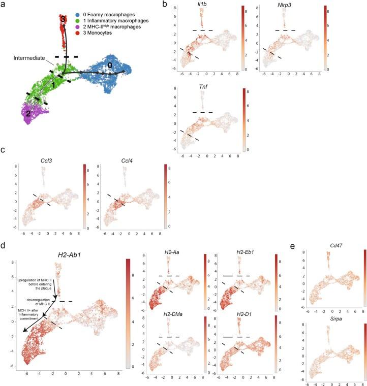 https://cdn.ncbi.nlm.nih.gov/pmc/blobs/c326/11041796/c81fb846b1ee/44161_2023_354_Fig10_ESM.jpg