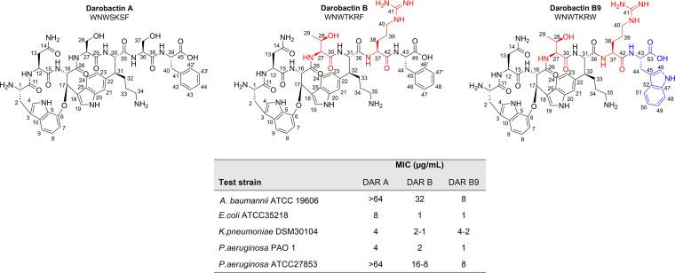 https://cdn.ncbi.nlm.nih.gov/pmc/blobs/c326/9927382/1d10995b19b8/spectrum.04437-22-f003.jpg