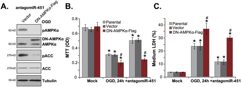 https://cdn.ncbi.nlm.nih.gov/pmc/blobs/c327/5405932/c55adccbe8b6/pone.0175507.g003.jpg