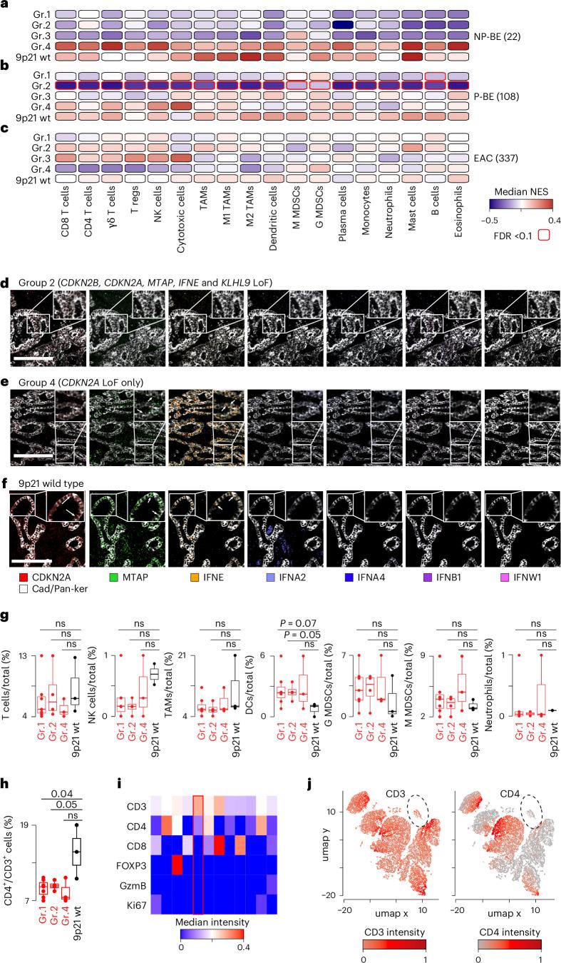 https://cdn.ncbi.nlm.nih.gov/pmc/blobs/c32d/11779637/032f894277fd/43018_2024_876_Fig5_HTML.jpg