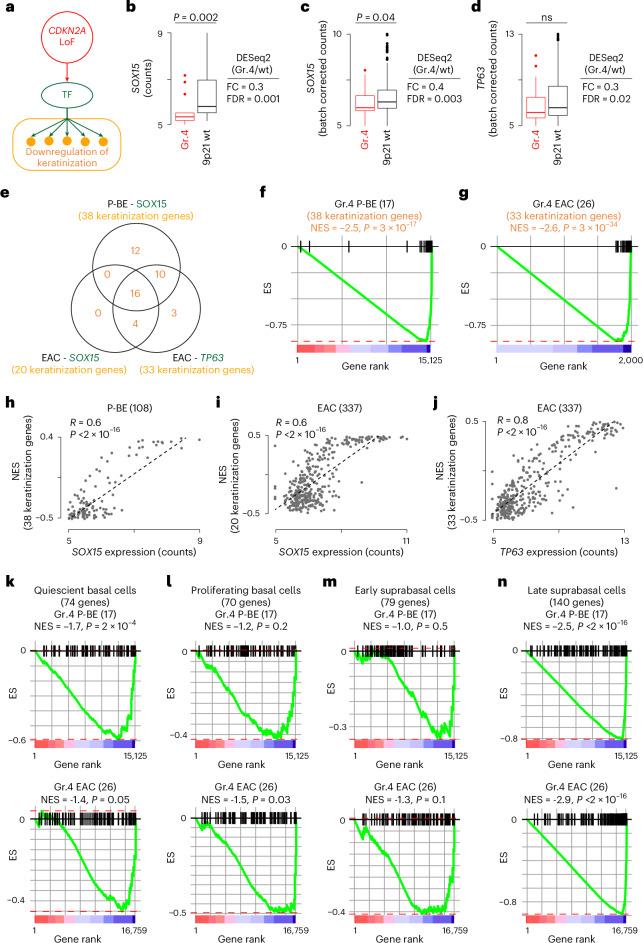 https://cdn.ncbi.nlm.nih.gov/pmc/blobs/c32d/11779637/696ef7b3f59f/43018_2024_876_Fig6_HTML.jpg