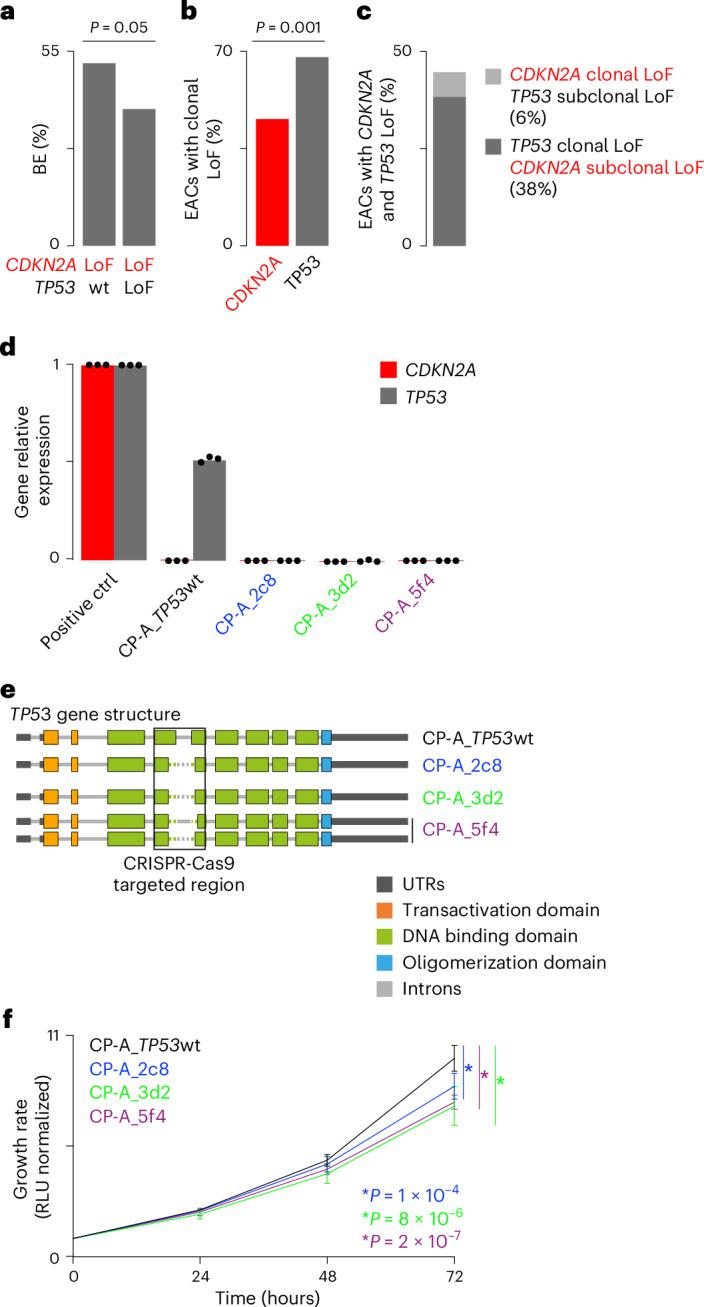https://cdn.ncbi.nlm.nih.gov/pmc/blobs/c32d/11779637/8d34f72b0022/43018_2024_876_Fig2_HTML.jpg