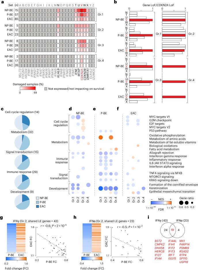 https://cdn.ncbi.nlm.nih.gov/pmc/blobs/c32d/11779637/9b0ec6ad8854/43018_2024_876_Fig4_HTML.jpg