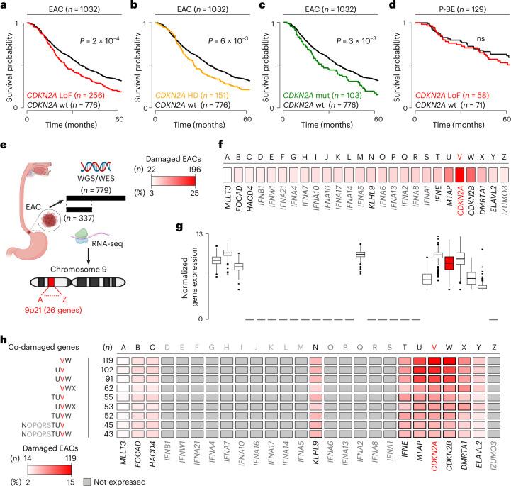 https://cdn.ncbi.nlm.nih.gov/pmc/blobs/c32d/11779637/a44761cea016/43018_2024_876_Fig3_HTML.jpg