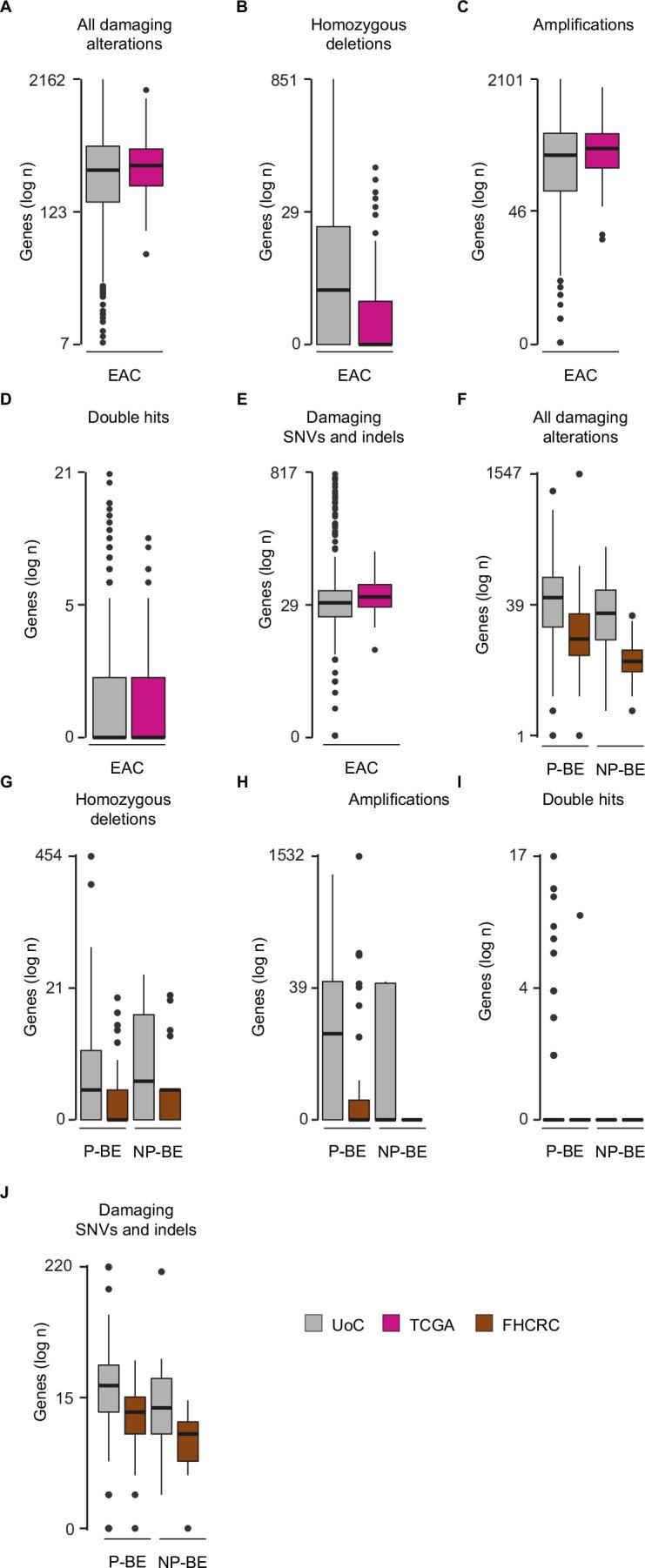 https://cdn.ncbi.nlm.nih.gov/pmc/blobs/c32d/11779637/c84d0a0bf513/43018_2024_876_Fig7_ESM.jpg