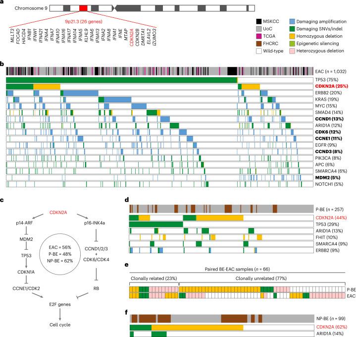 https://cdn.ncbi.nlm.nih.gov/pmc/blobs/c32d/11779637/fd9374395b9e/43018_2024_876_Fig1_HTML.jpg