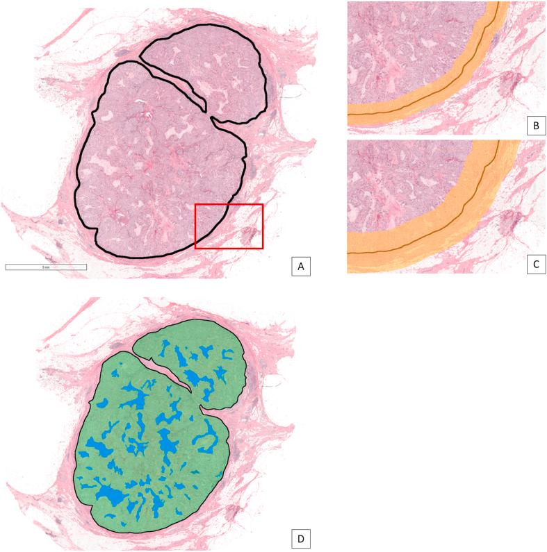 https://cdn.ncbi.nlm.nih.gov/pmc/blobs/c32d/7933536/74319d4d7753/gr3.jpg