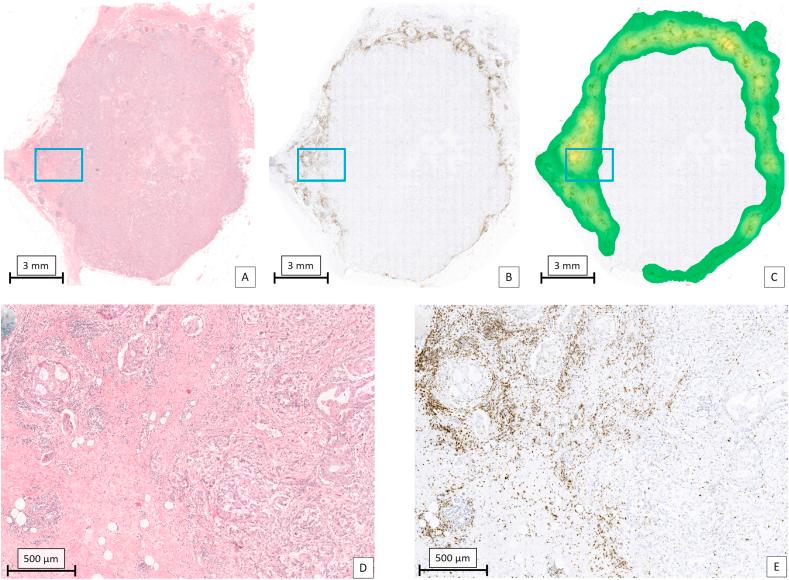 https://cdn.ncbi.nlm.nih.gov/pmc/blobs/c32d/7933536/d3026d3ea71f/gr5.jpg