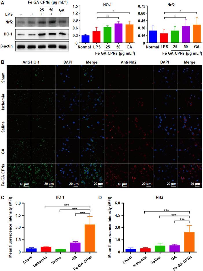 https://cdn.ncbi.nlm.nih.gov/pmc/blobs/c330/10190924/8389f019045b/EXP2-3-20220041-g008.jpg