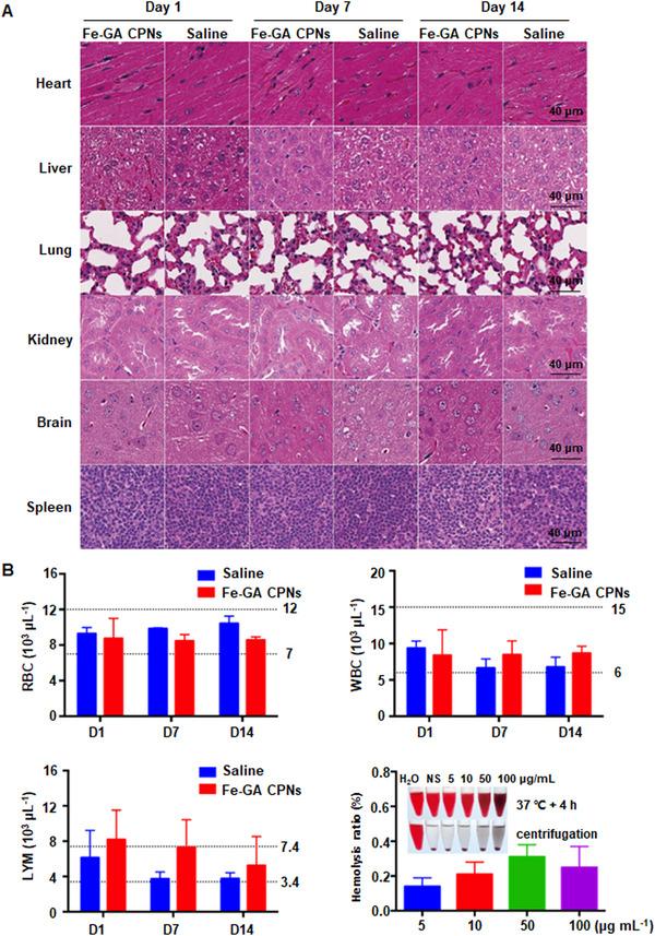 https://cdn.ncbi.nlm.nih.gov/pmc/blobs/c330/10190924/8719e372ffe8/EXP2-3-20220041-g004.jpg