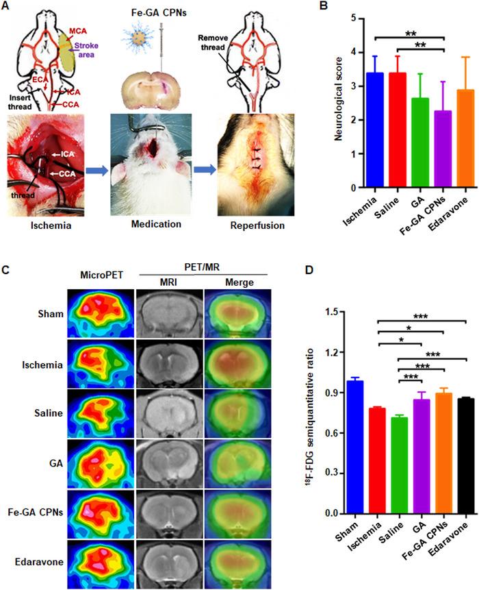 https://cdn.ncbi.nlm.nih.gov/pmc/blobs/c330/10190924/e93416a57188/EXP2-3-20220041-g005.jpg