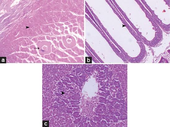 https://cdn.ncbi.nlm.nih.gov/pmc/blobs/c334/5591486/73a66b890849/VetWorld-10-955-g003.jpg