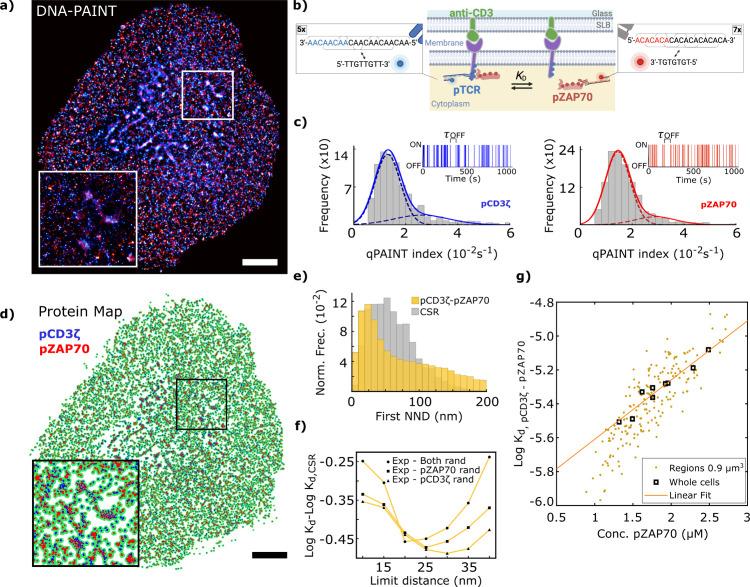 https://cdn.ncbi.nlm.nih.gov/pmc/blobs/c336/11528428/e6f38ea68fd3/nl4c04394_0004.jpg