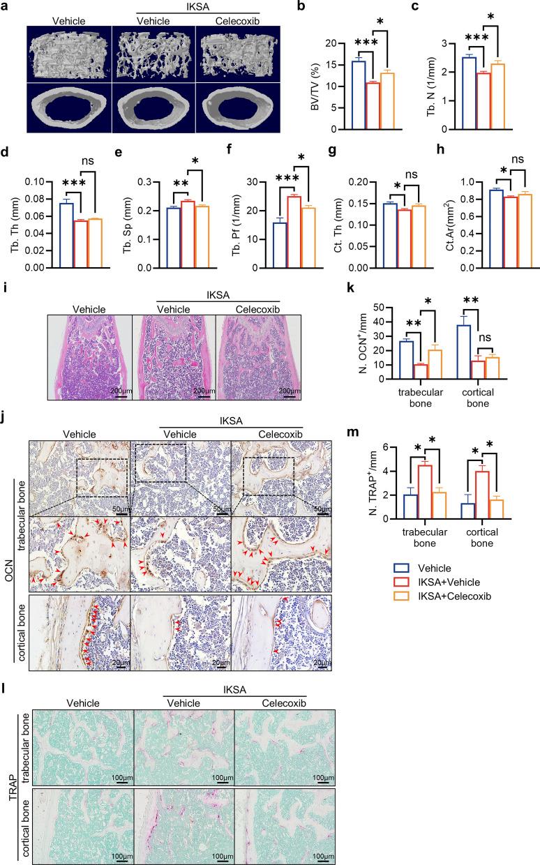 https://cdn.ncbi.nlm.nih.gov/pmc/blobs/c336/12057237/6c10605a9d94/10020_2025_1202_Fig5_HTML.jpg