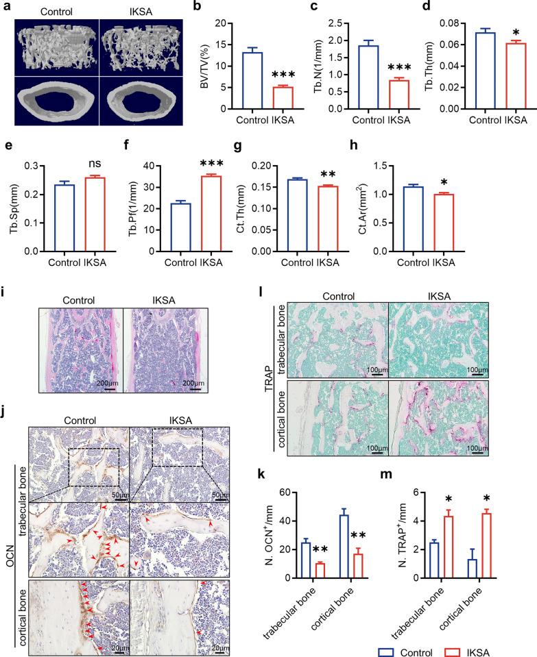 https://cdn.ncbi.nlm.nih.gov/pmc/blobs/c336/12057237/dd90b8efa7e5/10020_2025_1202_Fig1_HTML.jpg