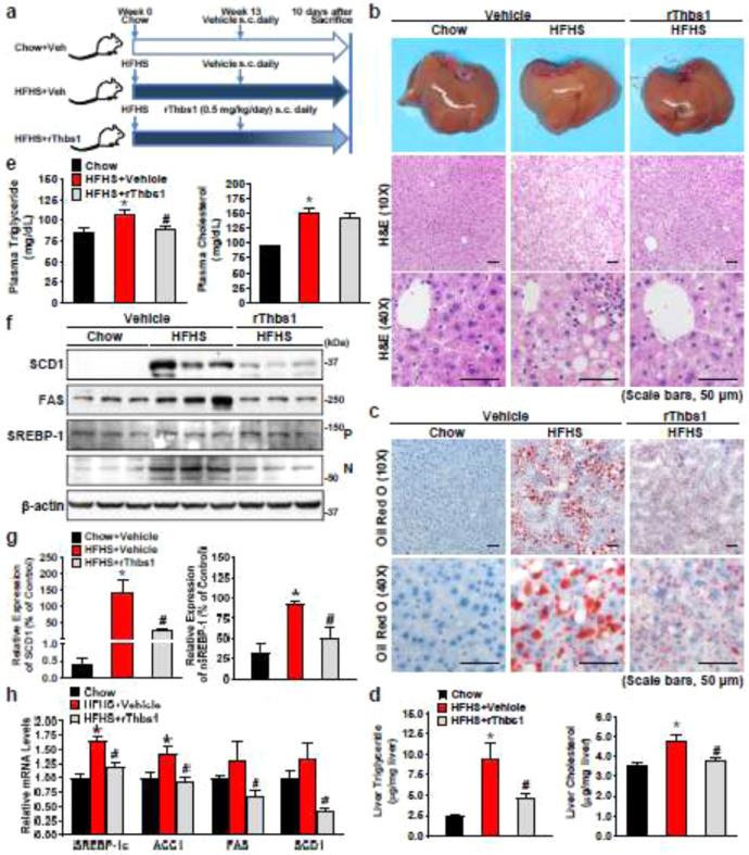 https://cdn.ncbi.nlm.nih.gov/pmc/blobs/c336/7317187/7b2ad5bd245c/gr3.jpg