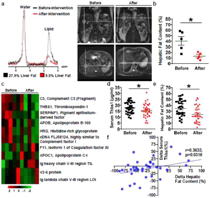 https://cdn.ncbi.nlm.nih.gov/pmc/blobs/c336/7317187/f96c983b0975/gr1.jpg