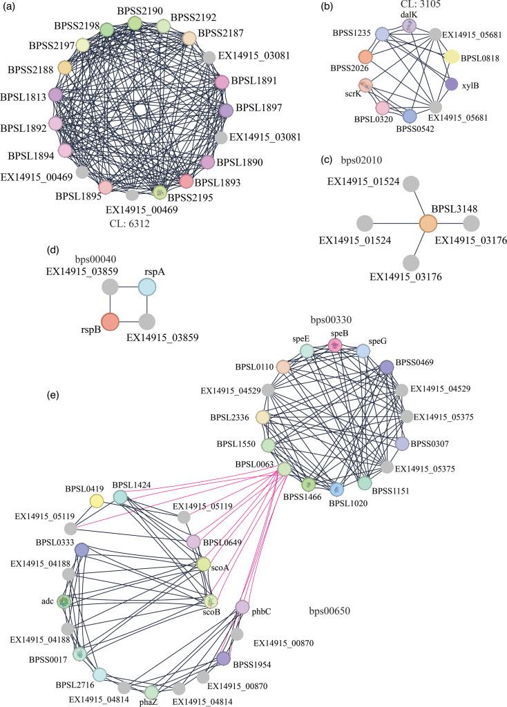 https://cdn.ncbi.nlm.nih.gov/pmc/blobs/c337/12282283/6d91f2605de9/jmm-74-02003-g007.jpg