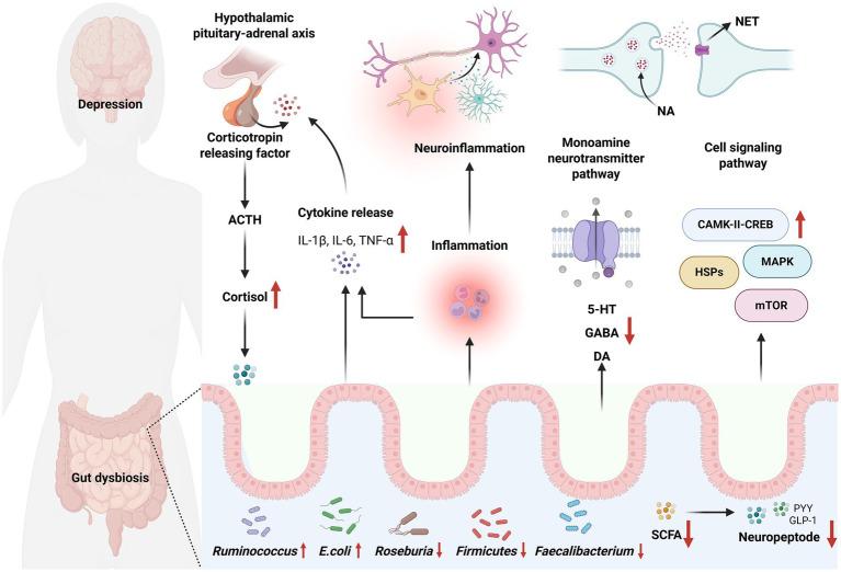 https://cdn.ncbi.nlm.nih.gov/pmc/blobs/c338/12364656/66f21dac0f2c/fnut-12-1634548-g002.jpg