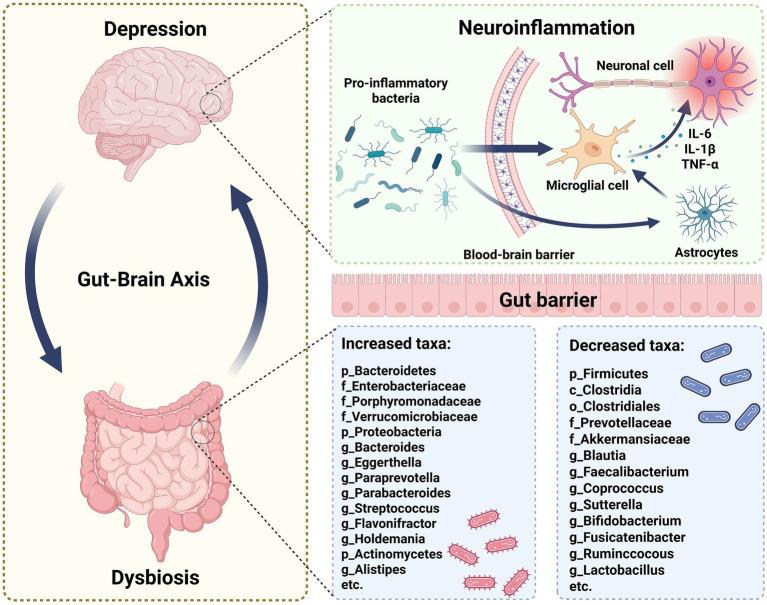 https://cdn.ncbi.nlm.nih.gov/pmc/blobs/c338/12364656/9f51a1695def/fnut-12-1634548-g001.jpg