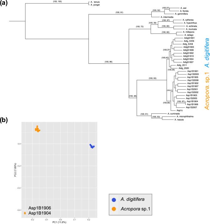 https://cdn.ncbi.nlm.nih.gov/pmc/blobs/c338/12400658/c9bcfaae1b39/12862_2025_2432_Fig2_HTML.jpg