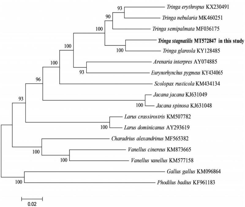 https://cdn.ncbi.nlm.nih.gov/pmc/blobs/c338/7782464/6de7c5217560/TMDN_A_1787895_F0001_B.jpg