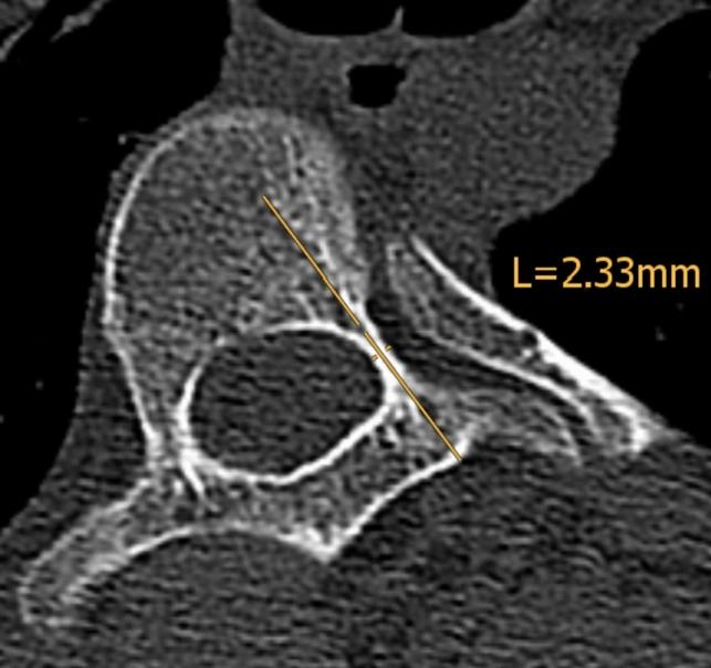 https://cdn.ncbi.nlm.nih.gov/pmc/blobs/c339/11217052/5f0c39658887/43390_2024_852_Fig2_HTML.jpg