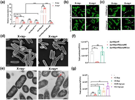 https://cdn.ncbi.nlm.nih.gov/pmc/blobs/c33a/12360855/7d56162bed71/JEV2-14-e70151-g005.jpg