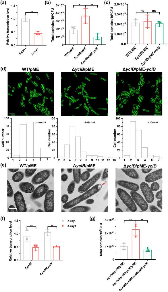 https://cdn.ncbi.nlm.nih.gov/pmc/blobs/c33a/12360855/c56a3dbb3599/JEV2-14-e70151-g001.jpg
