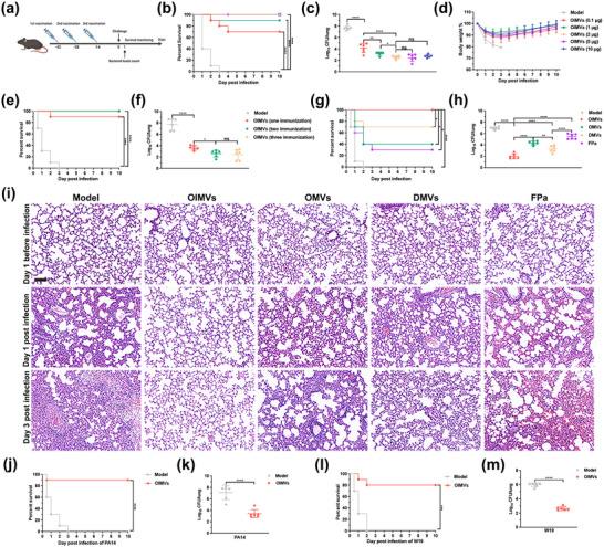 https://cdn.ncbi.nlm.nih.gov/pmc/blobs/c33a/12360855/dbceb87a2344/JEV2-14-e70151-g006.jpg