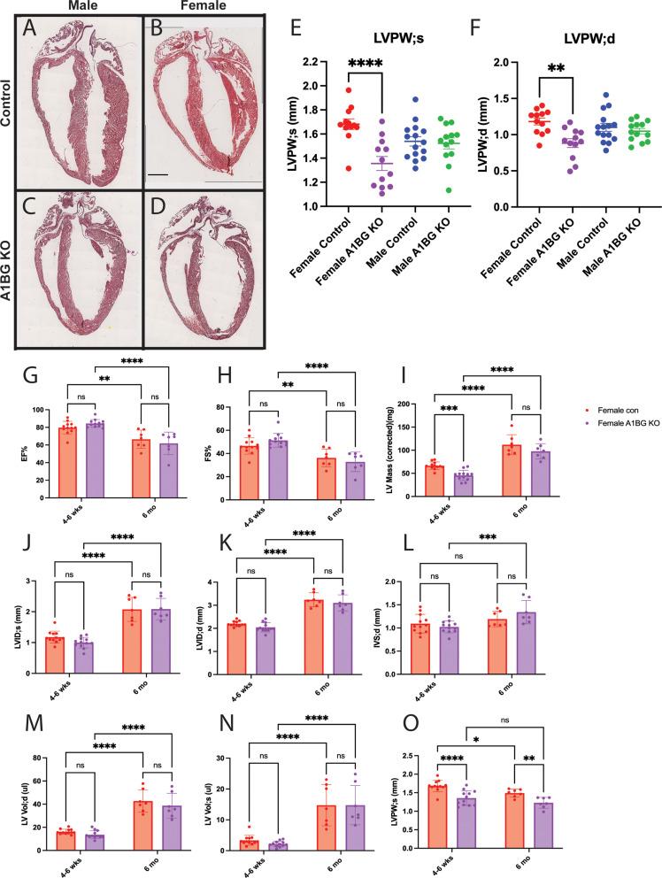 https://cdn.ncbi.nlm.nih.gov/pmc/blobs/c33b/12016195/ea360685a52e/13293_2025_713_Fig1_HTML.jpg