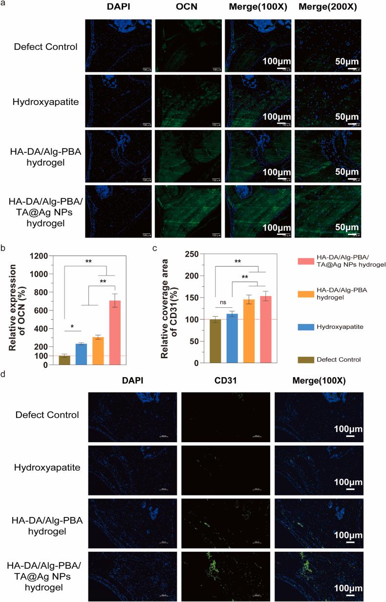 https://cdn.ncbi.nlm.nih.gov/pmc/blobs/c33b/12148671/08c559d55ea5/gr7.jpg
