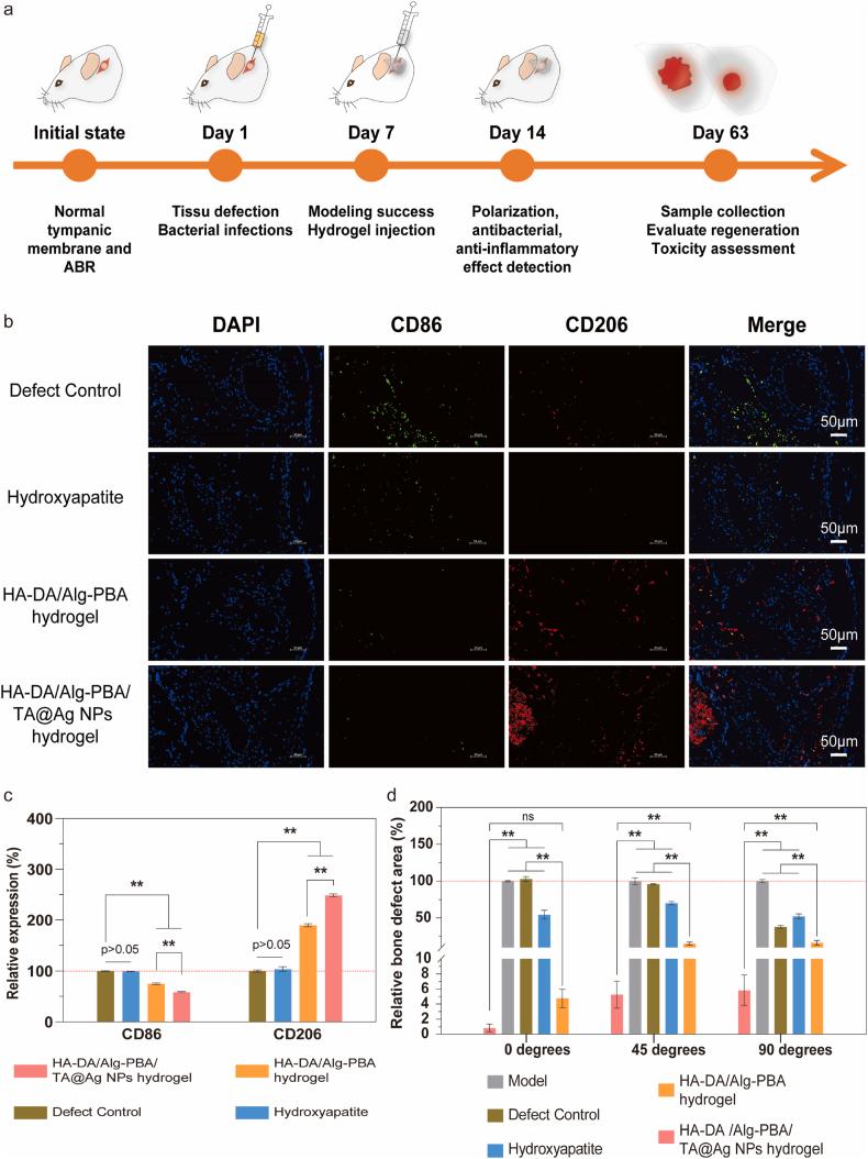 https://cdn.ncbi.nlm.nih.gov/pmc/blobs/c33b/12148671/3ee23bb41079/gr5.jpg