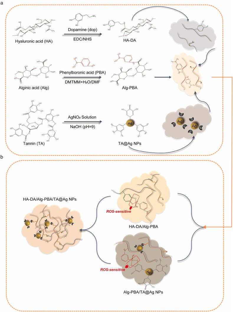 https://cdn.ncbi.nlm.nih.gov/pmc/blobs/c33b/12148671/af697a47b67e/gr1.jpg