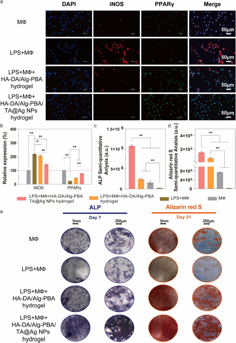 https://cdn.ncbi.nlm.nih.gov/pmc/blobs/c33b/12148671/c32ecebe86a7/gr4.jpg