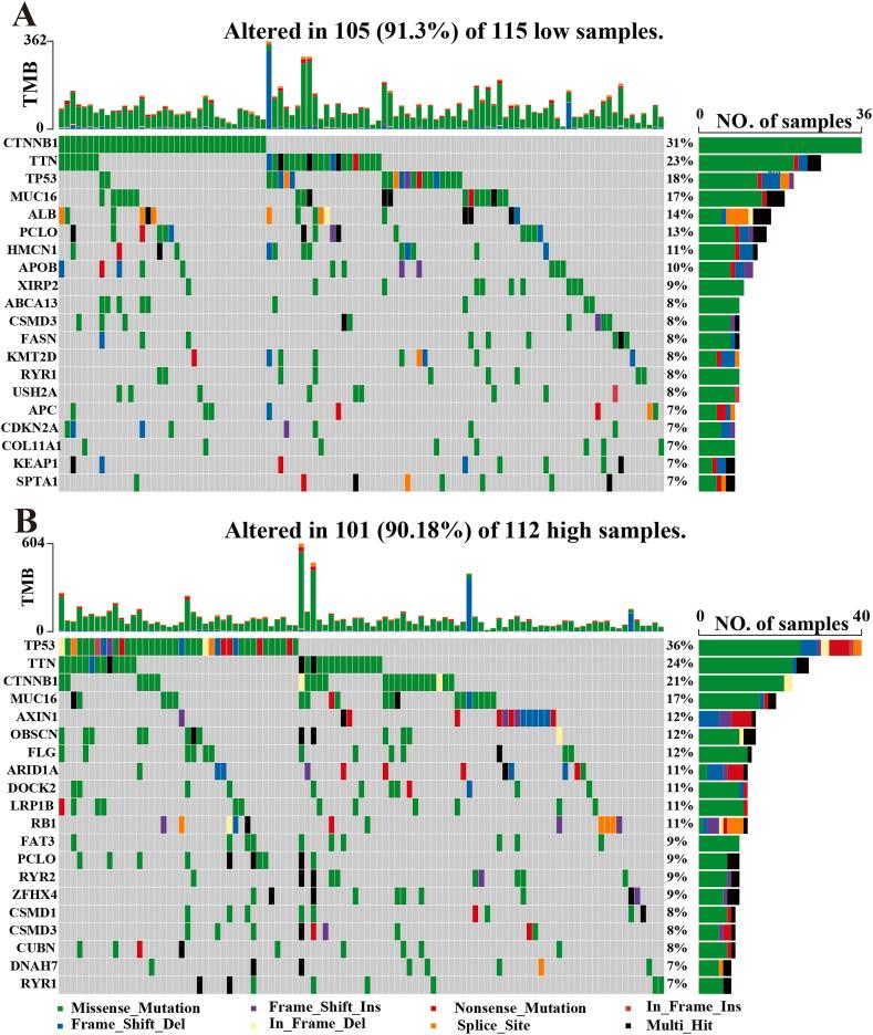 https://cdn.ncbi.nlm.nih.gov/pmc/blobs/c33c/10361245/5469038b2095/gr7.jpg