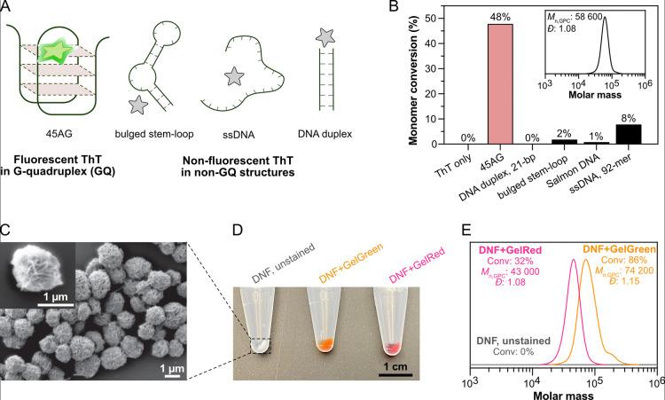 https://cdn.ncbi.nlm.nih.gov/pmc/blobs/c33c/11100002/bb27ccc1b2e9/ja4c03513_0003.jpg