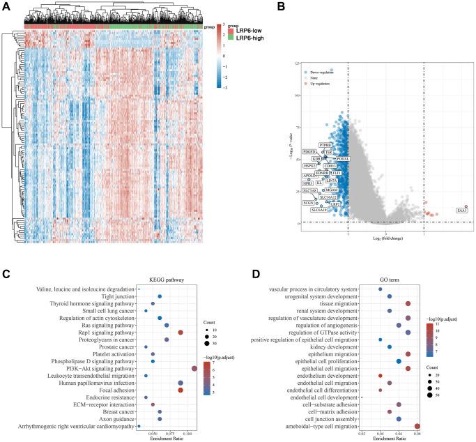 https://cdn.ncbi.nlm.nih.gov/pmc/blobs/c33d/10866424/4f6b7da580f6/aging-16-205440-g005.jpg