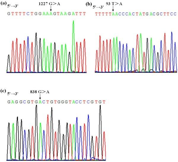 https://cdn.ncbi.nlm.nih.gov/pmc/blobs/c340/4024116/05dcf7ff46cf/1471-2350-15-54-2.jpg