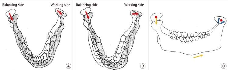 https://cdn.ncbi.nlm.nih.gov/pmc/blobs/c341/3408272/62b516ad18bb/aps-39-291-g006.jpg