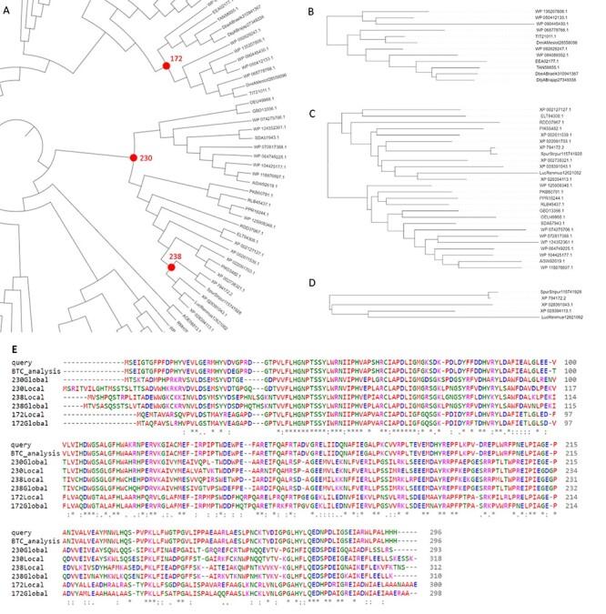 https://cdn.ncbi.nlm.nih.gov/pmc/blobs/c343/8294521/5118008a895c/bbaa337f4.jpg