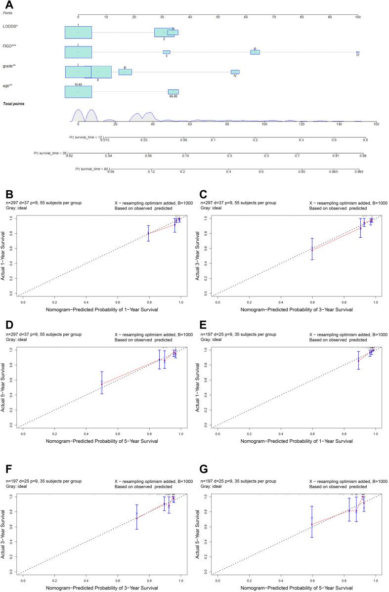 https://cdn.ncbi.nlm.nih.gov/pmc/blobs/c343/9341457/e6d5dcc080e6/IJWH-14-931-g0004.jpg