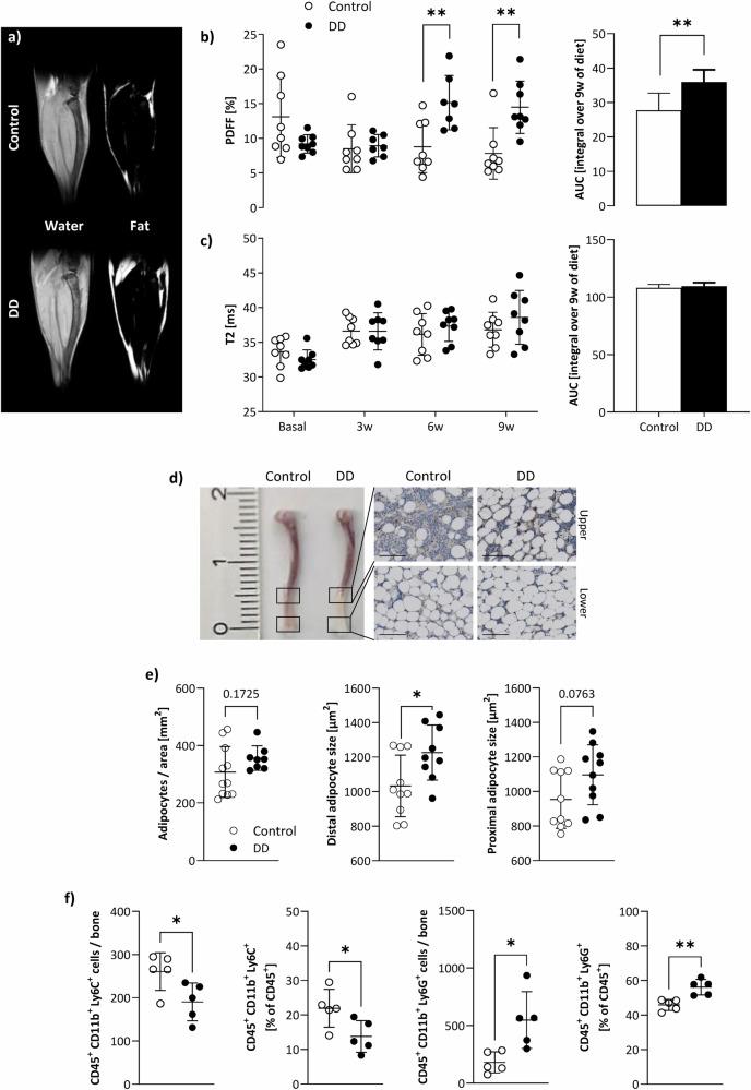 https://cdn.ncbi.nlm.nih.gov/pmc/blobs/c345/12118699/0736b65206ab/44303_2024_44_Fig3_HTML.jpg
