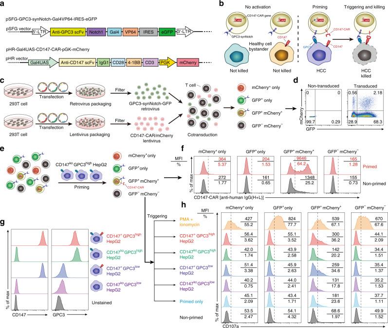 https://cdn.ncbi.nlm.nih.gov/pmc/blobs/c345/7511348/54f9970c1751/41467_2020_18444_Fig6_HTML.jpg